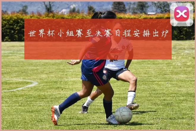 世界杯小组赛至决赛日程安排出炉