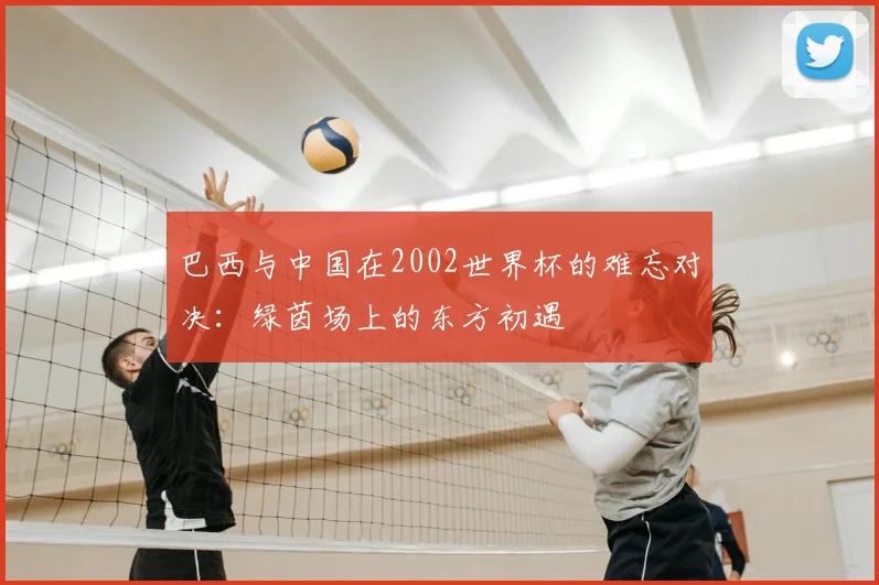 巴西与中国在2002世界杯的难忘对决：绿茵场上的东方初遇