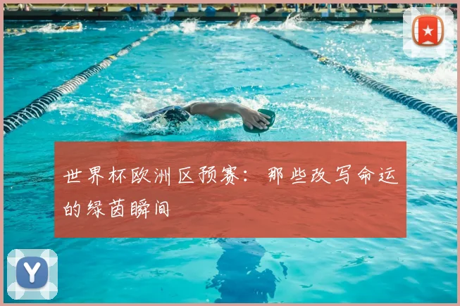 世界杯欧洲区预赛：那些改写命运的绿茵瞬间